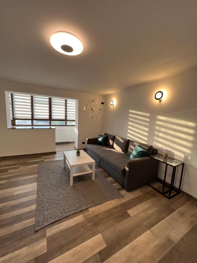 Sunny Luxury Home G. Enescu Suczawa Zewnętrze zdjęcie